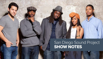 Show Notes: The Lyrical Groove Artist Photo